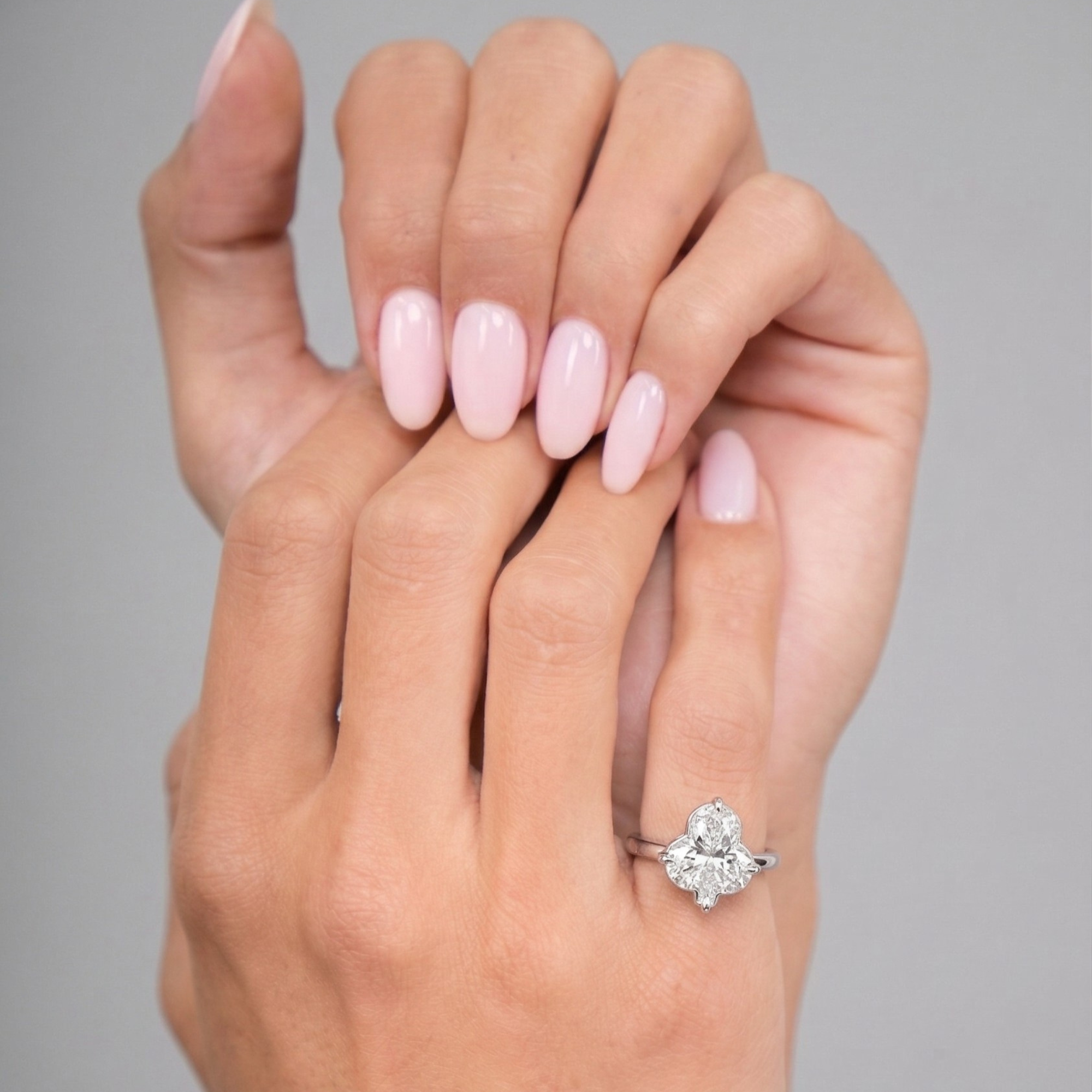 Alliance Harmonie DIALE